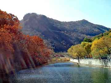 新澳天天开奖资料大全旅游团，重生之征战岁月